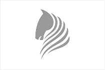 &#33521;&#30343;&#20307;&#32946;&#40;&#20013;&#22269;&#41;&#20307;&#32946;&#23448;&#26041;&#32593;&#31449;